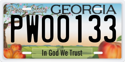 GA license plate PWO0133