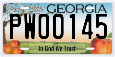 GA license plate PWO0145