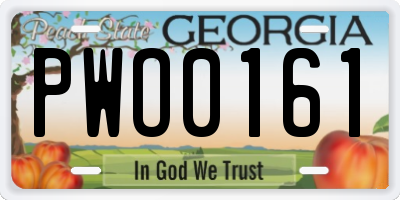 GA license plate PWO0161