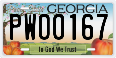 GA license plate PWO0167