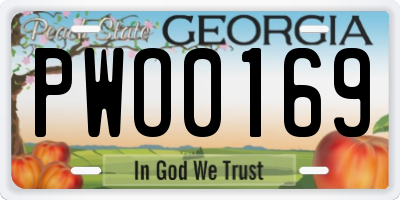GA license plate PWO0169