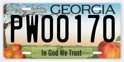 GA license plate PWO0170