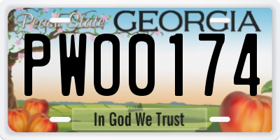 GA license plate PWO0174