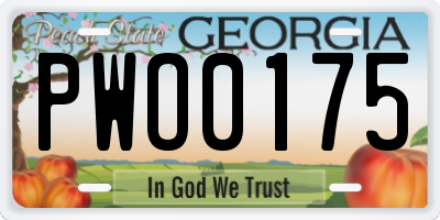 GA license plate PWO0175