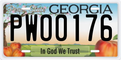 GA license plate PWO0176