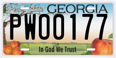 GA license plate PWO0177