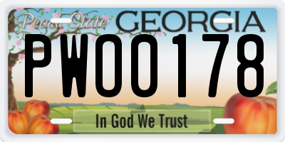 GA license plate PWO0178