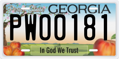 GA license plate PWO0181