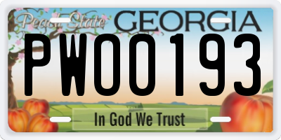 GA license plate PWO0193
