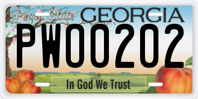 GA license plate PWO0202