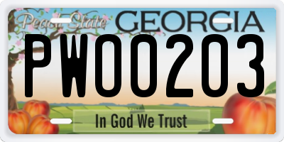 GA license plate PWO0203