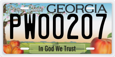 GA license plate PWO0207
