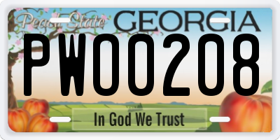 GA license plate PWO0208