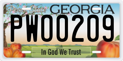 GA license plate PWO0209