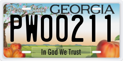 GA license plate PWO0211