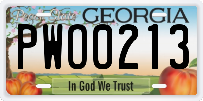 GA license plate PWO0213