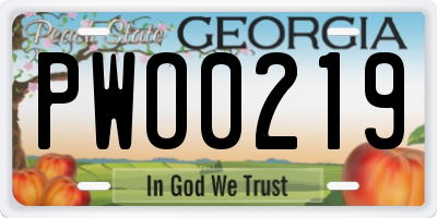 GA license plate PWO0219