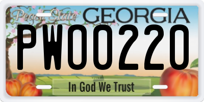 GA license plate PWO0220