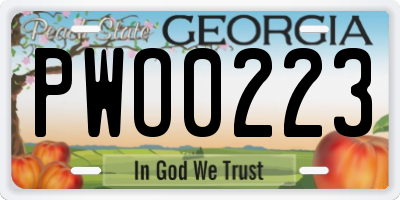GA license plate PWO0223