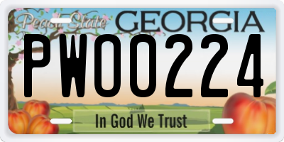 GA license plate PWO0224