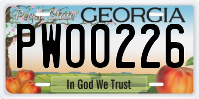 GA license plate PWO0226