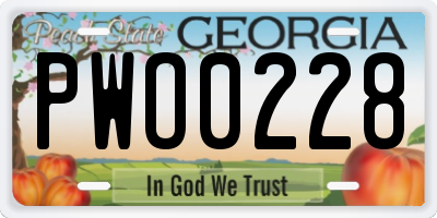 GA license plate PWO0228