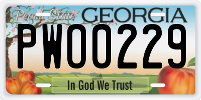 GA license plate PWO0229