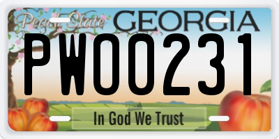 GA license plate PWO0231