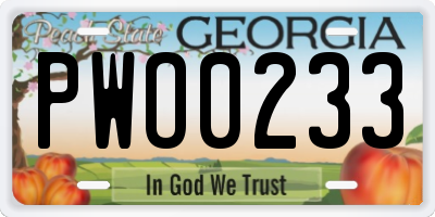 GA license plate PWO0233