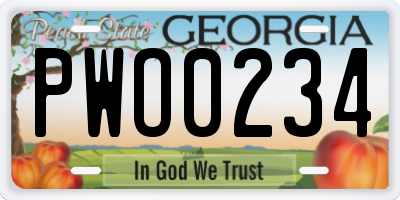 GA license plate PWO0234
