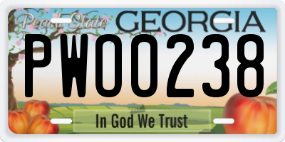 GA license plate PWO0238