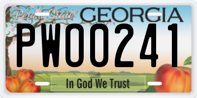 GA license plate PWO0241