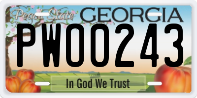 GA license plate PWO0243