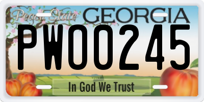 GA license plate PWO0245