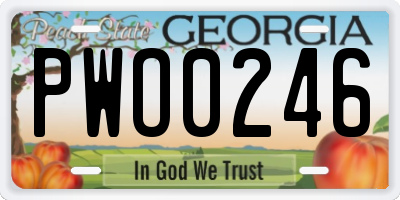 GA license plate PWO0246