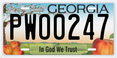 GA license plate PWO0247