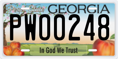 GA license plate PWO0248