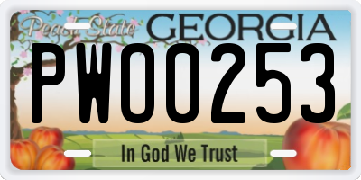 GA license plate PWO0253
