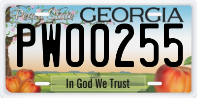 GA license plate PWO0255