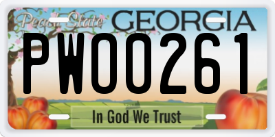 GA license plate PWO0261