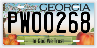 GA license plate PWO0268