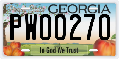 GA license plate PWO0270