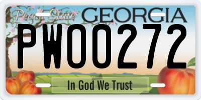 GA license plate PWO0272