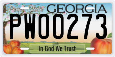 GA license plate PWO0273