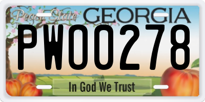 GA license plate PWO0278