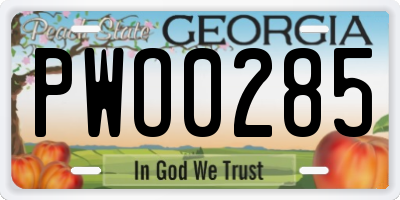 GA license plate PWO0285