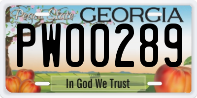 GA license plate PWO0289
