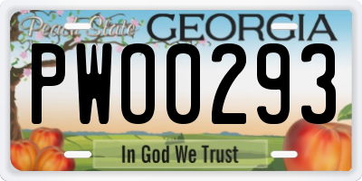 GA license plate PWO0293