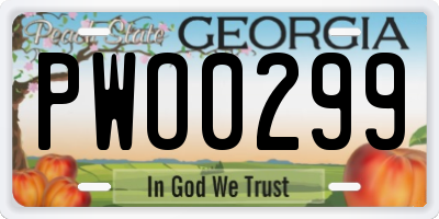 GA license plate PWO0299