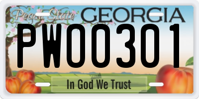 GA license plate PWO0301
